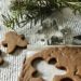 Our Favorite Gingerbread Cookies